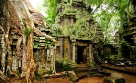 Tempel von Angkor
