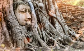 Ayutthaya