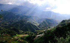 Sapa