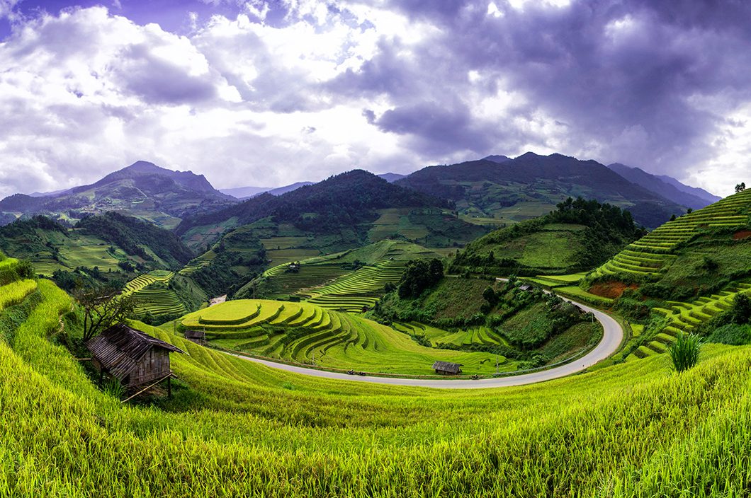 Sapa