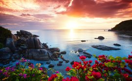 Ko Samui