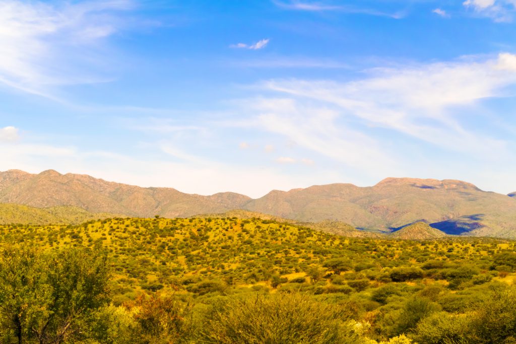 Windhoek