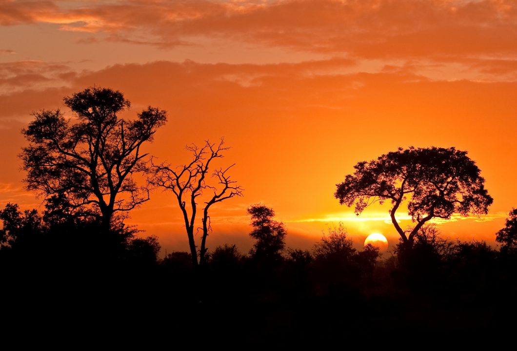 Kruger Nationalpark