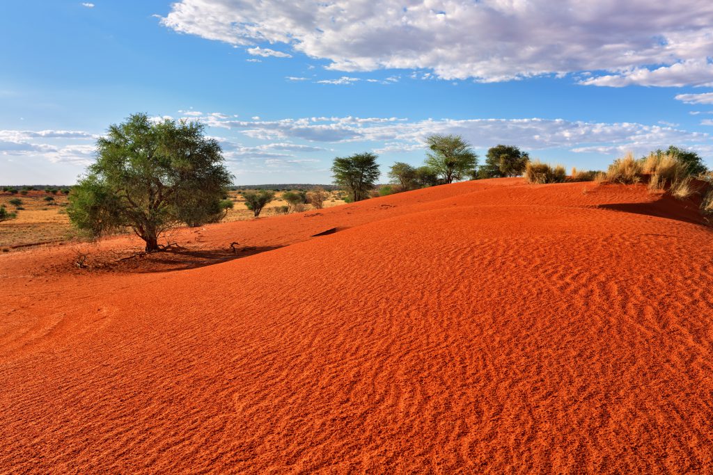 Kalahari