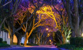 Johannesburg