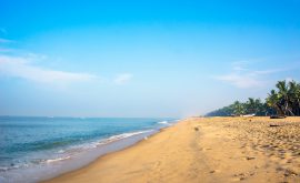 Marari Beach