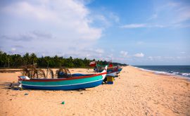 Marari Beach