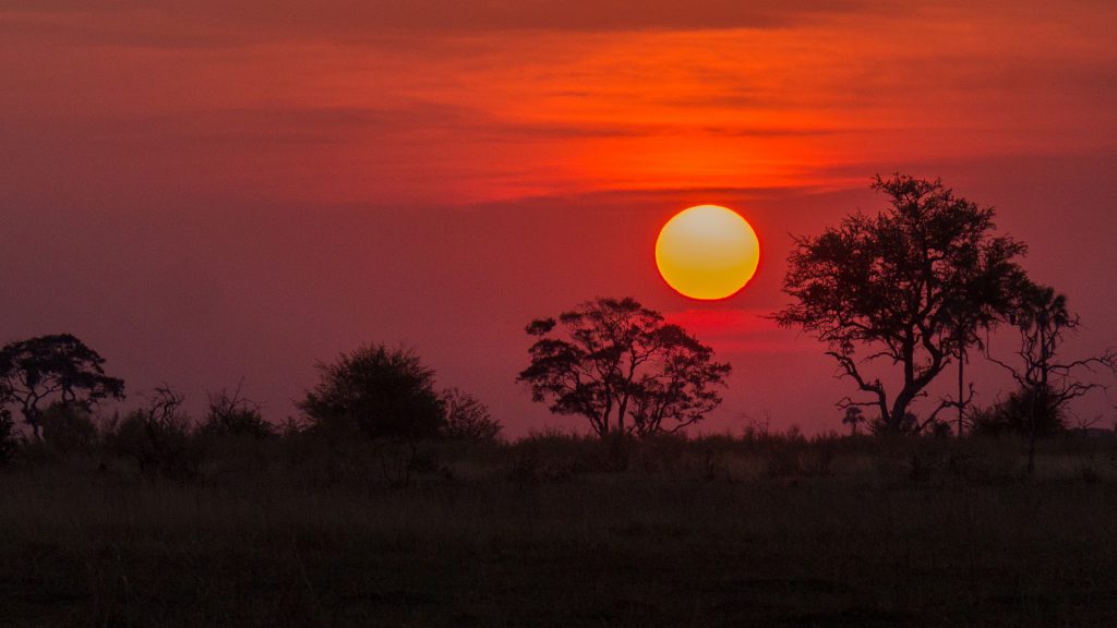 Okavango Delta