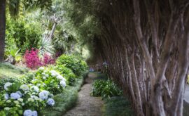 Funchal