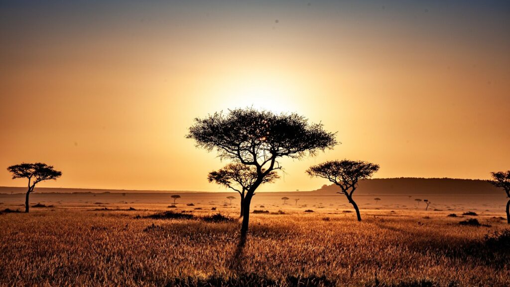 Tsavo Nationalpark