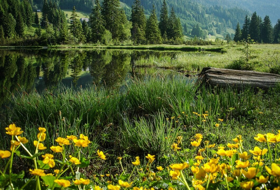 Steiermark